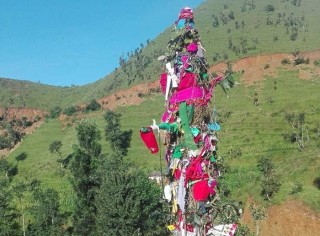 सुदूरपश्चिम : बत्ती बाल्दे महिनाको समापनपछि ओल्के सङ्क्रान्ति मनाईंदै