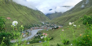 उपल्लो डोल्पामा चामल पुगेन