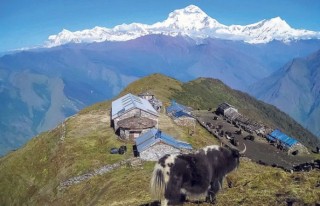 पर्यटन पुनरोत्थान र ग्रामीण पर्यटन प्रवद्र्धन गर्दै भिटोफ