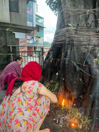 पीपलको पूजा शनिबार मात्र किन ? ( तस्विरमा हेर्नुस्)