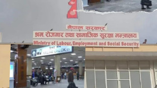 मेनपावर कम्पनी नवीकरण गर्दा गुगल लोकेसन अनिवार्य