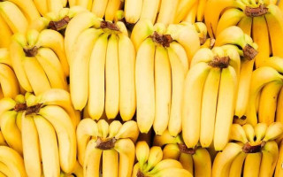 जाडोमा केरा खानु फाइदाजनक वा हानिकारक ?