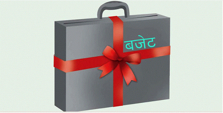 मध्यमवर्गको शिर उठाउने बजेट