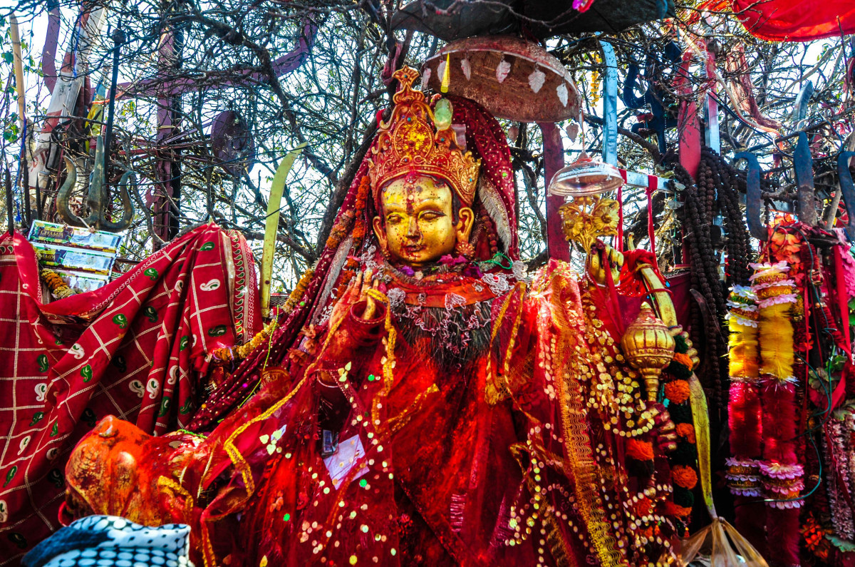 आजको राशिफल : कसको चम्किन्छ भाग्य ?